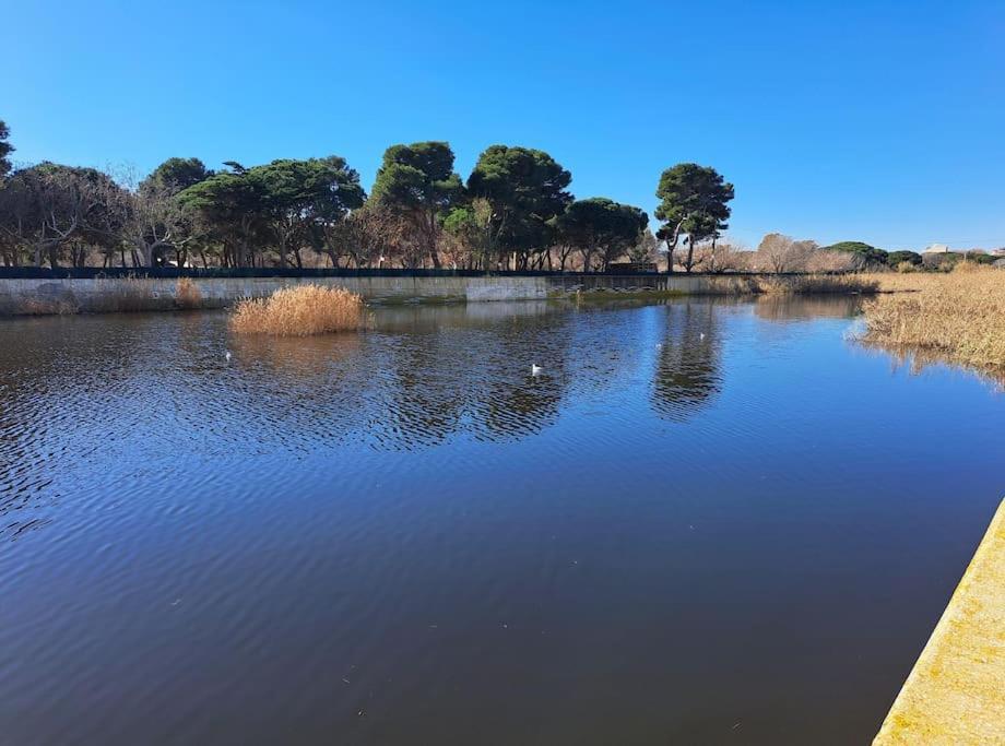 Apartamento A 50 Metros De La Playa. Platja d'Aro Ngoại thất bức ảnh